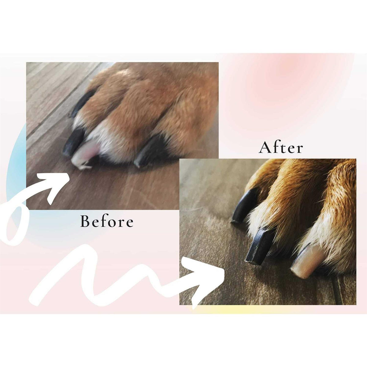 Pet Supplies C2637