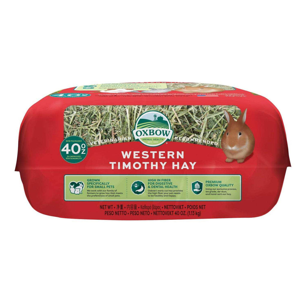 Western Timothy Hay W51546