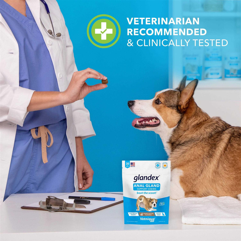Anal Gland Soft Chews Supplement for Dogs D104913
