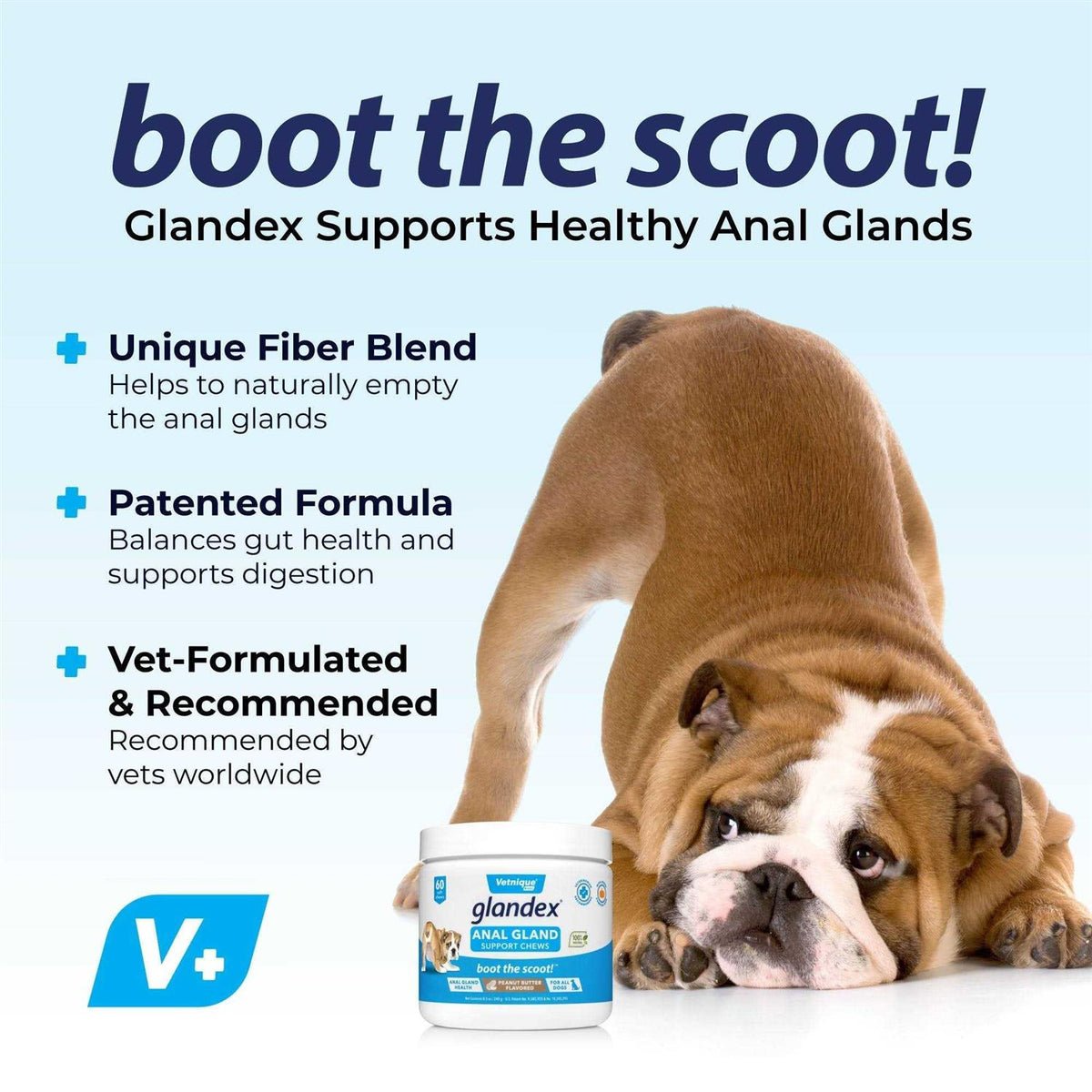 Anal Gland Soft Chews Supplement for Dogs D104913