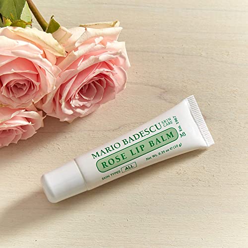 Overnight Lip Treatment with Coconut Oil and Shea Butter V115