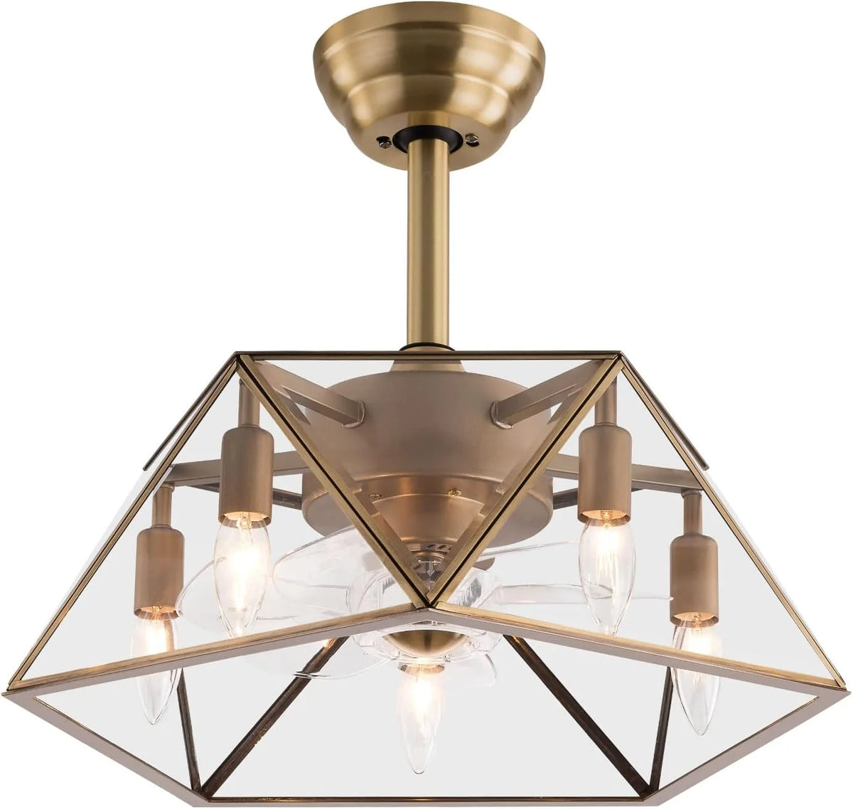 18.5'' Caged Ceiling Fan with Lights Remote Control F388