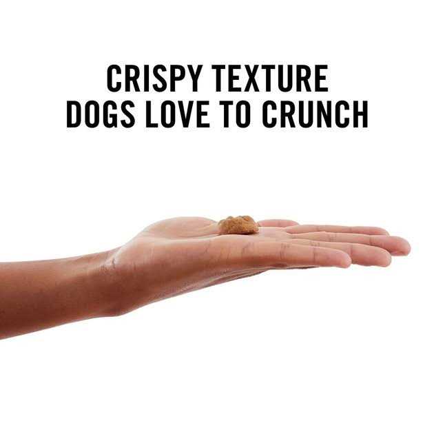 Peanut Butter Grain-Free Oven Baked Crunchy Biscuit Dog Treats L895