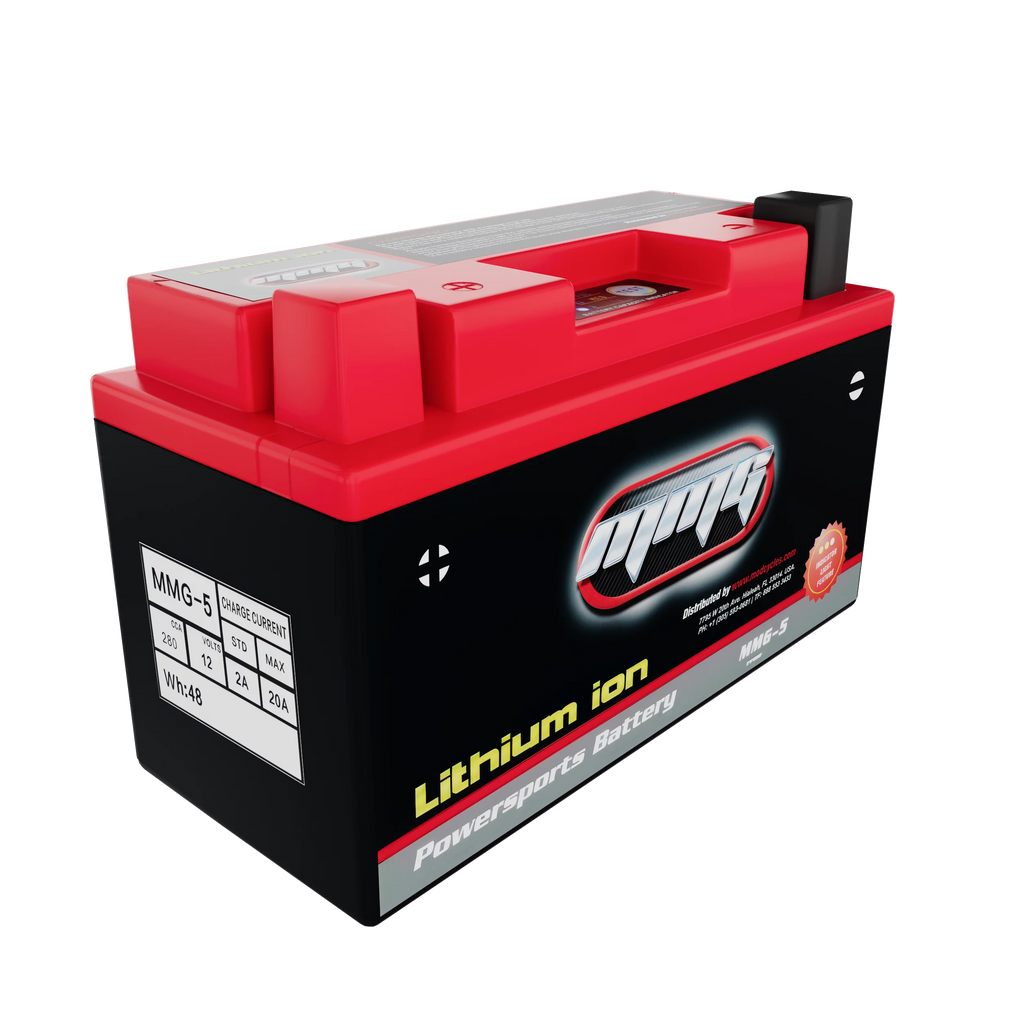 12V 280 CCA Lithium Ion Sealed Battery L947141