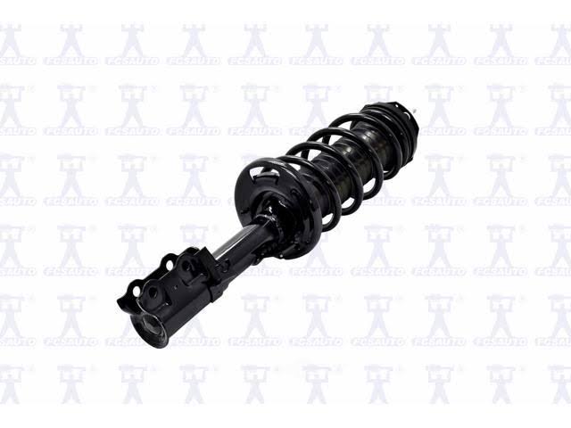 Suspension Strut and Coil Spring Assembly R45420