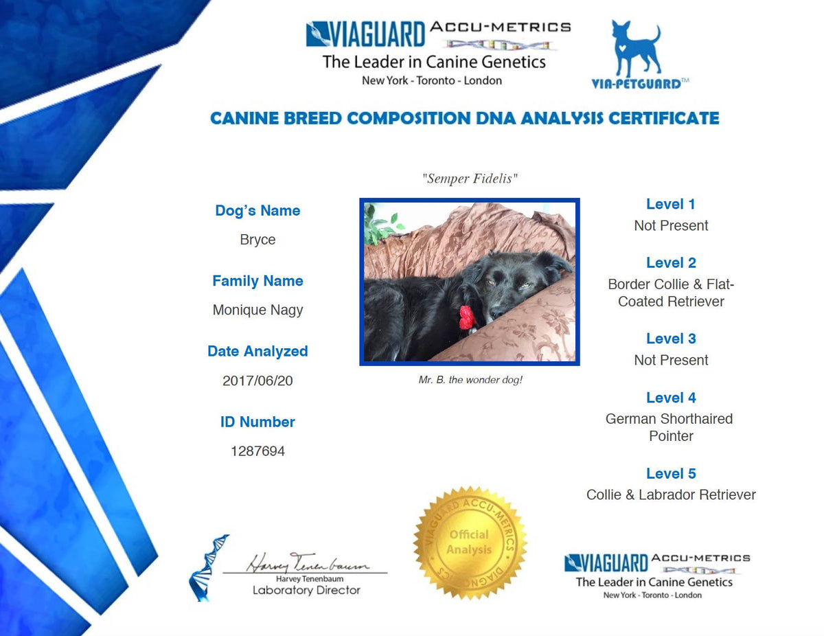 Dog DNA Breed Identification Test Cheek Swab Kit U933004