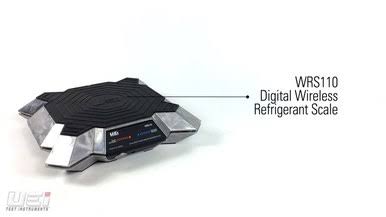 110 lbs. Wireless Refrigeration Scale I6651