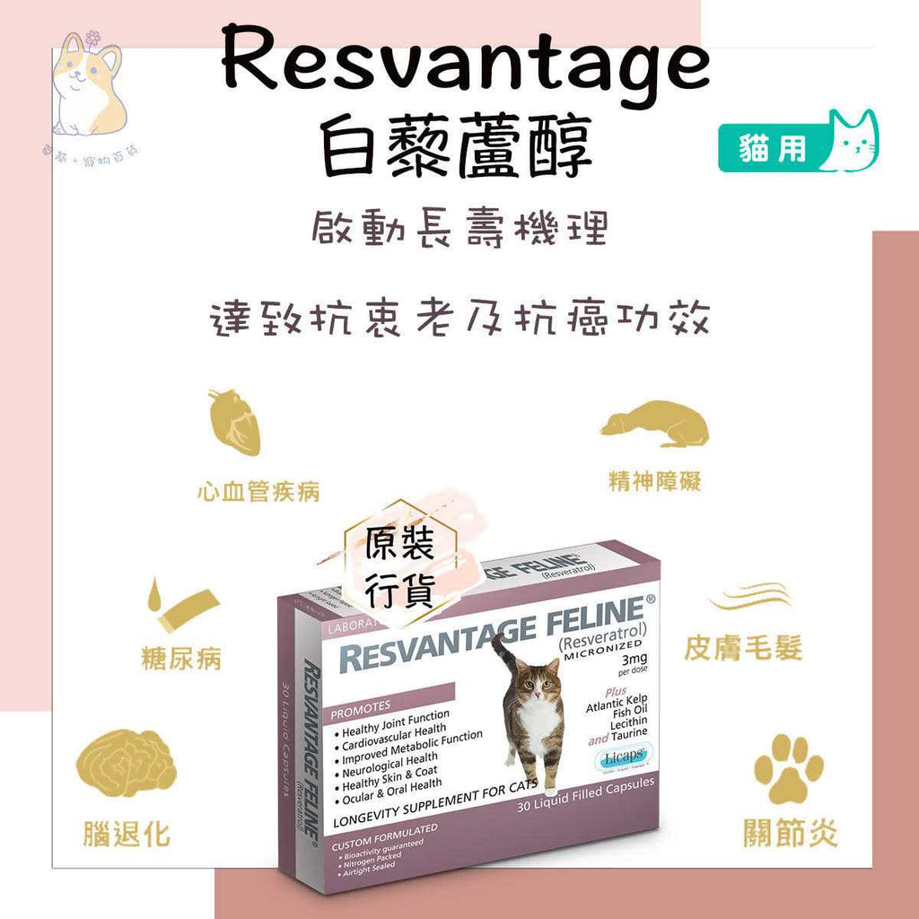 Pet Supplies K10522