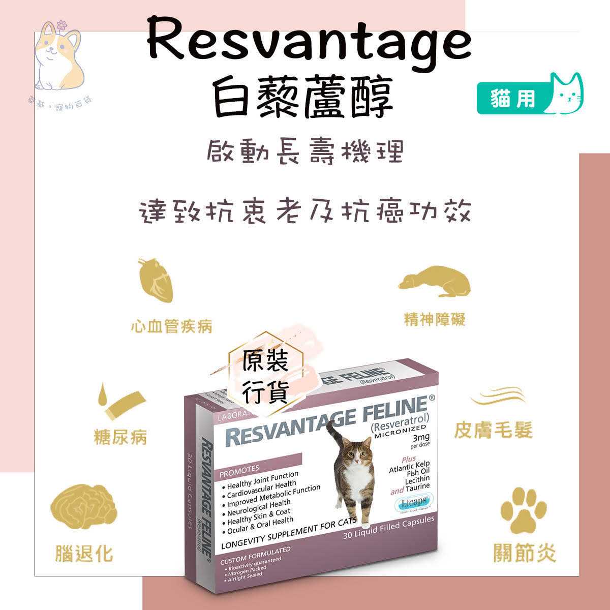 Pet Supplies K10522