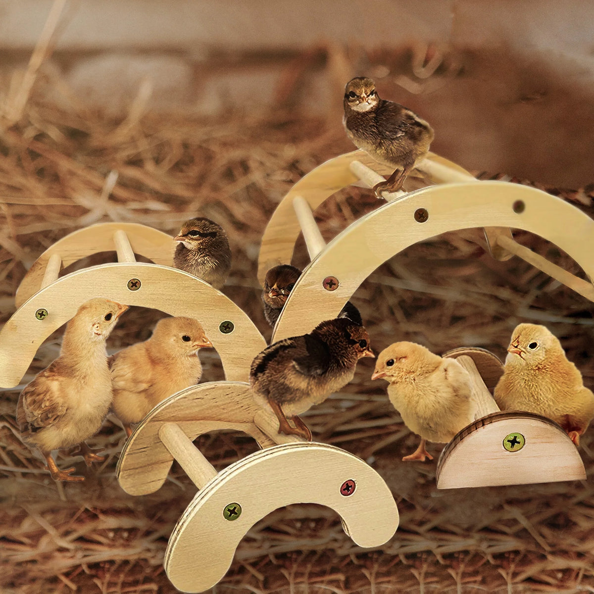 Natural Wood Chicken Perch 4 Pack K411174