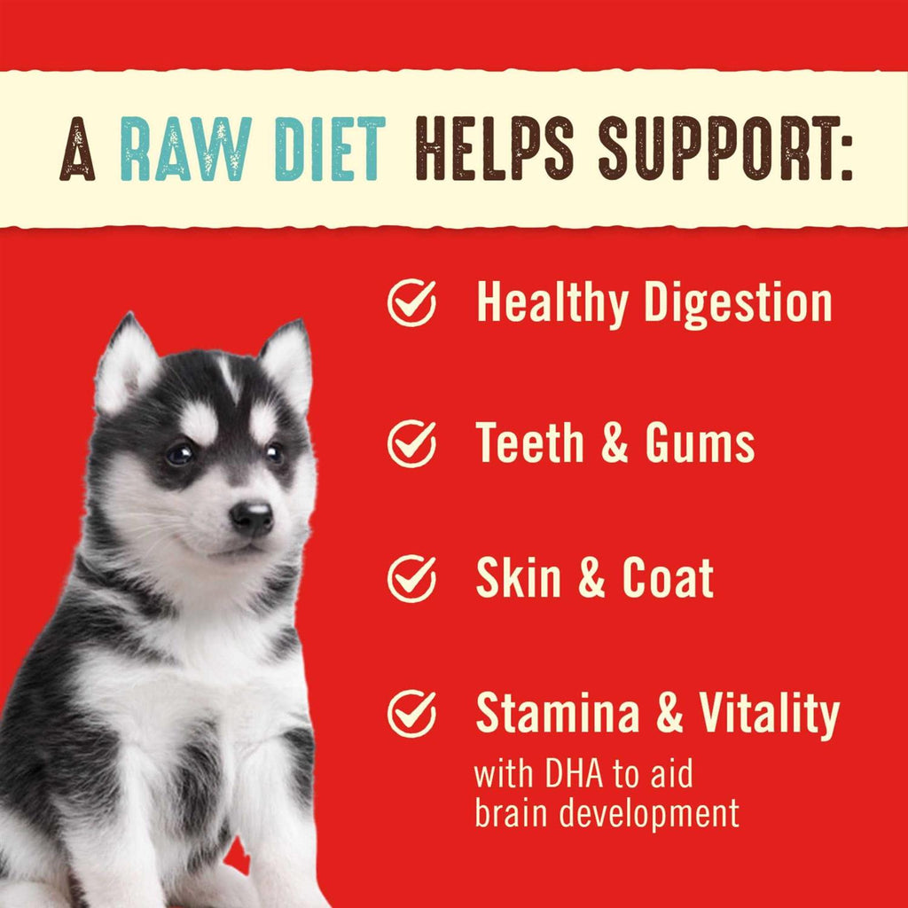 Freeze-Dried Raw Dog Food Salmon Patties J9367