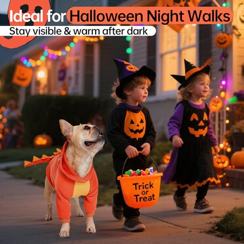 Dog Dinosaur Costume with Hood Y712100