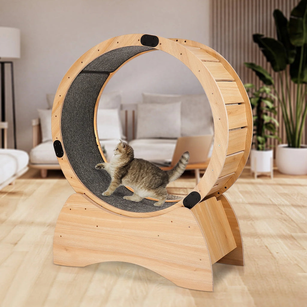 Cat Exercise Wheel H63227