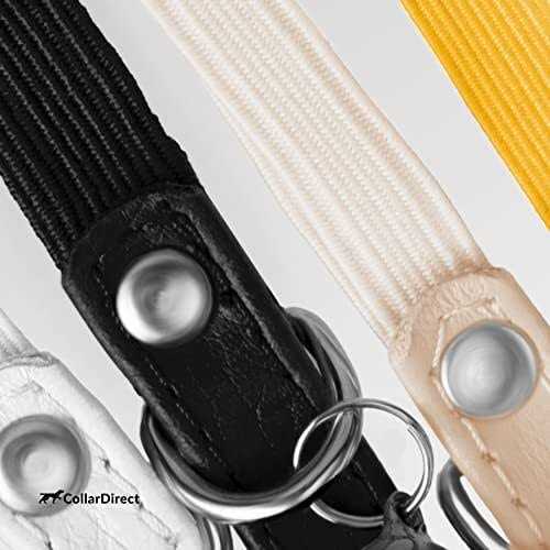 Leather Cat Collar with Bell Q783