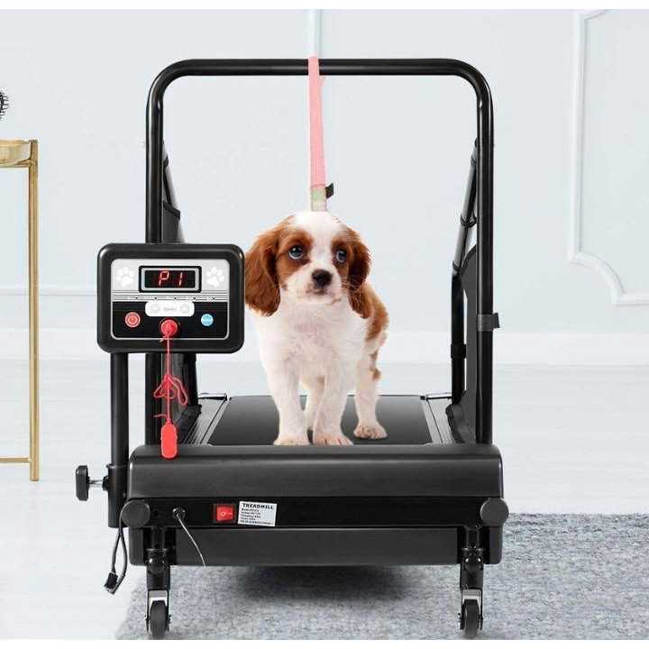 Dog Treadmill M6022