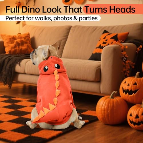 Dog Dinosaur Costume with Hood Y712100