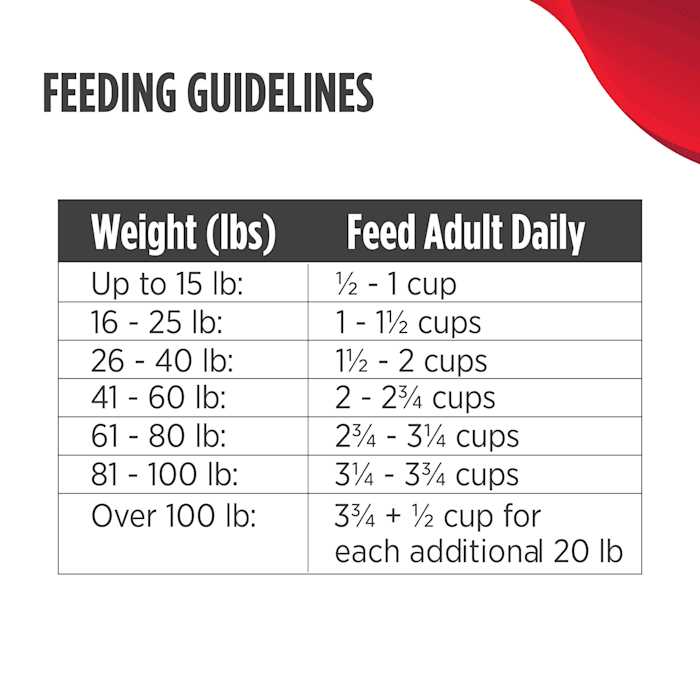 Dry Dog Food W2992