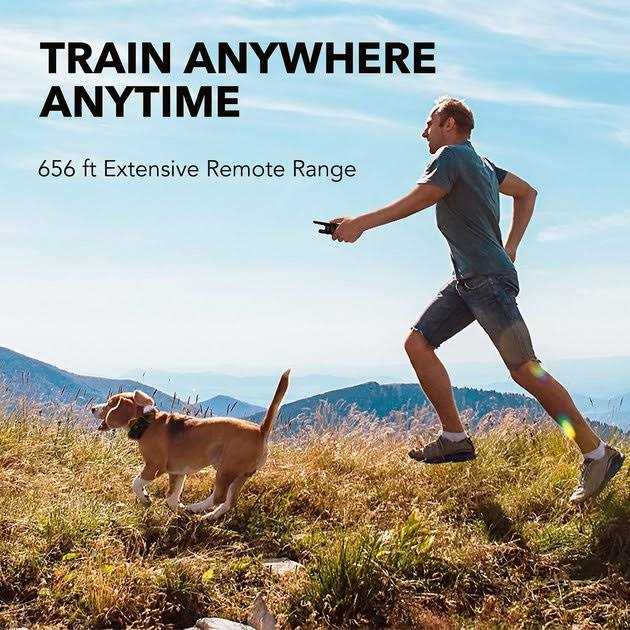Dog Training System M128