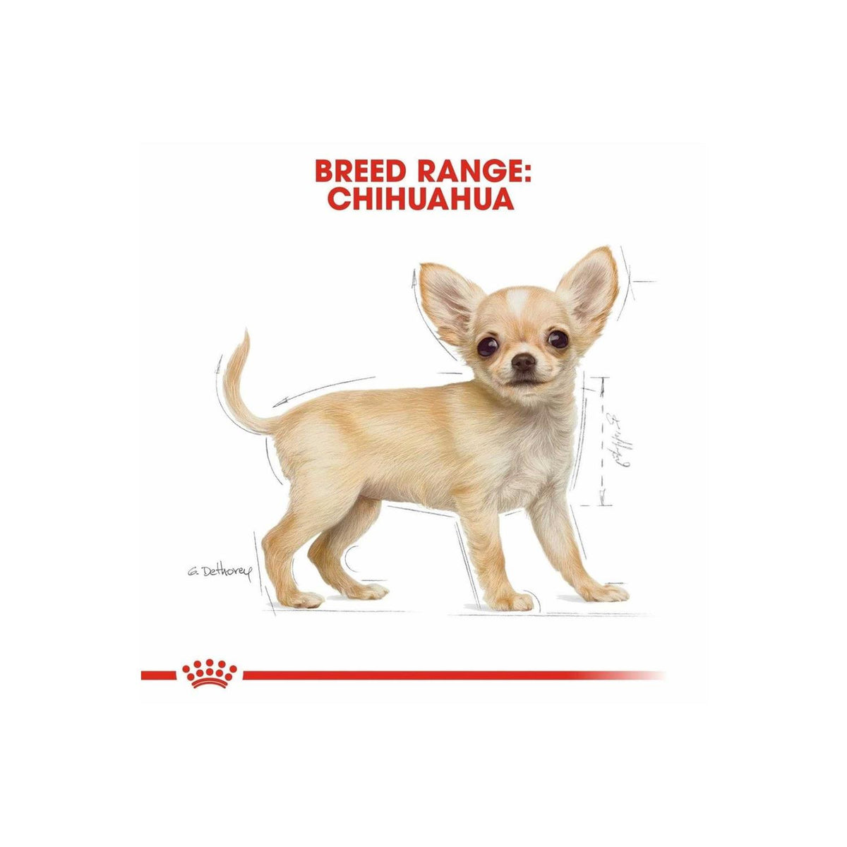 Chihuahua Puppy Dry Dog Food M825