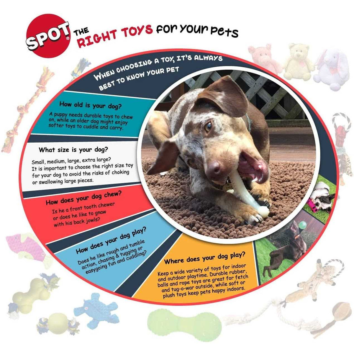 Sensory Ball Dog Toy Z349601