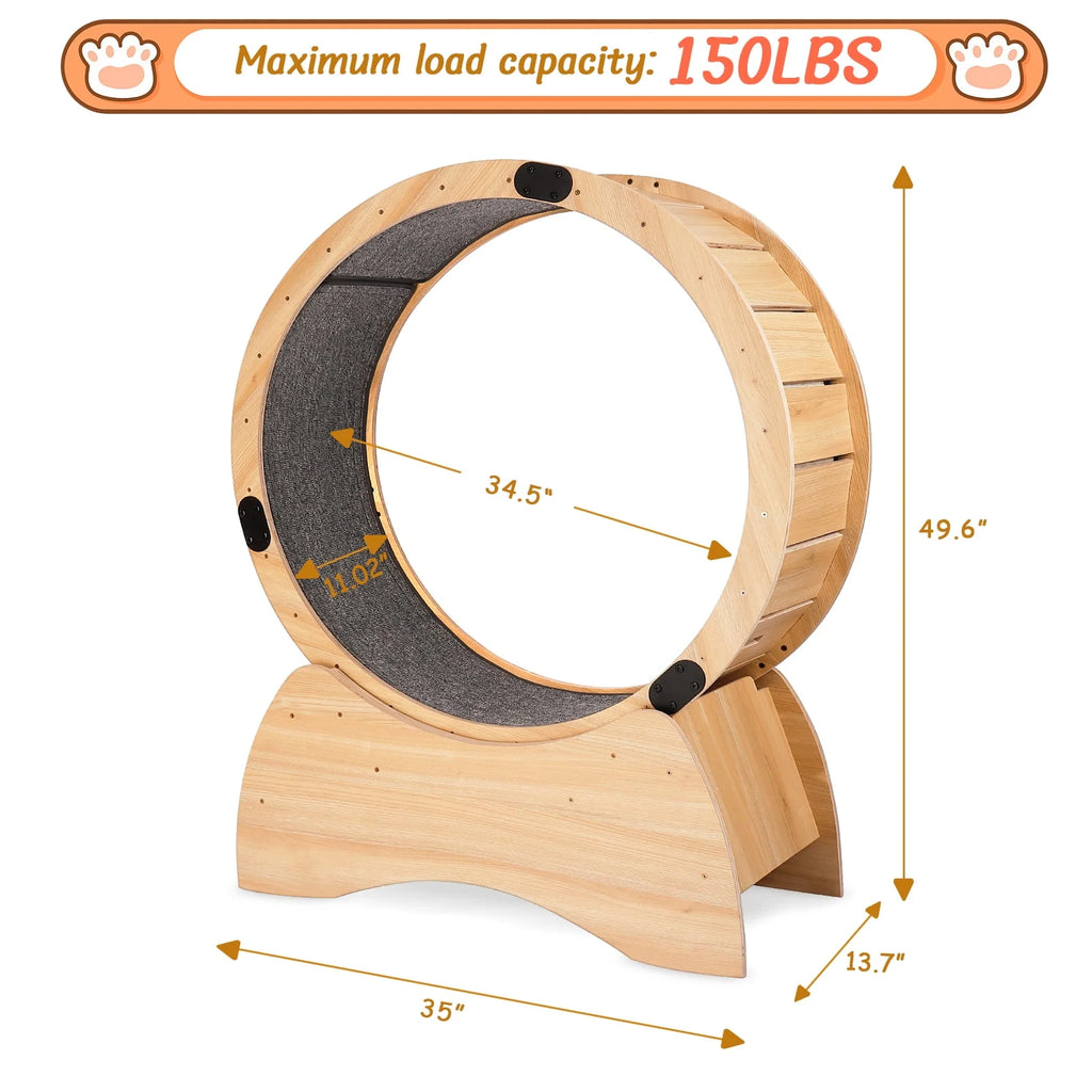 Cat Exercise Wheel H63227