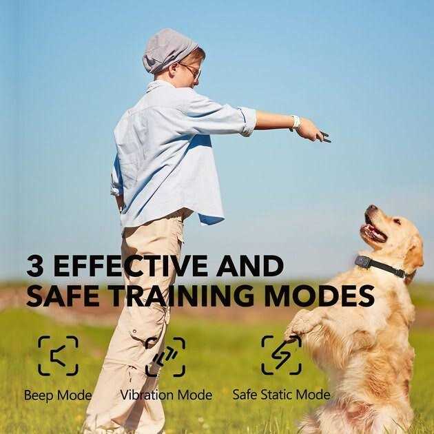 Dog Training System M128