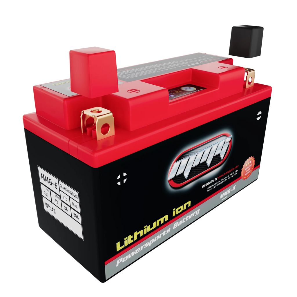 12V 280 CCA Lithium Ion Sealed Battery L947141