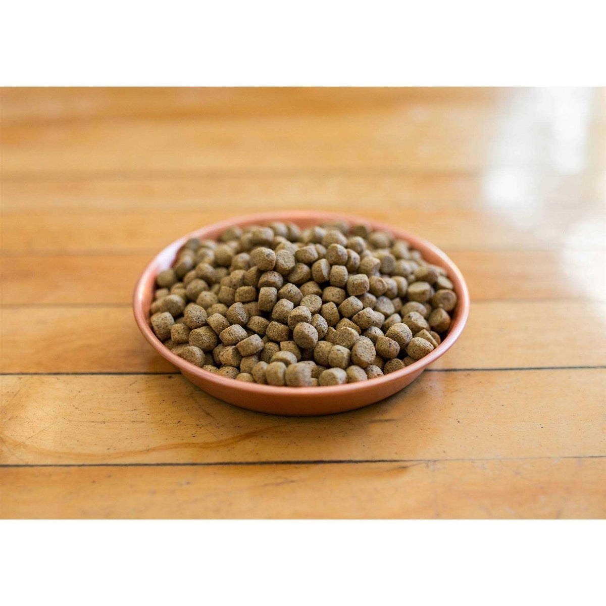 Dry Dog Food N97547