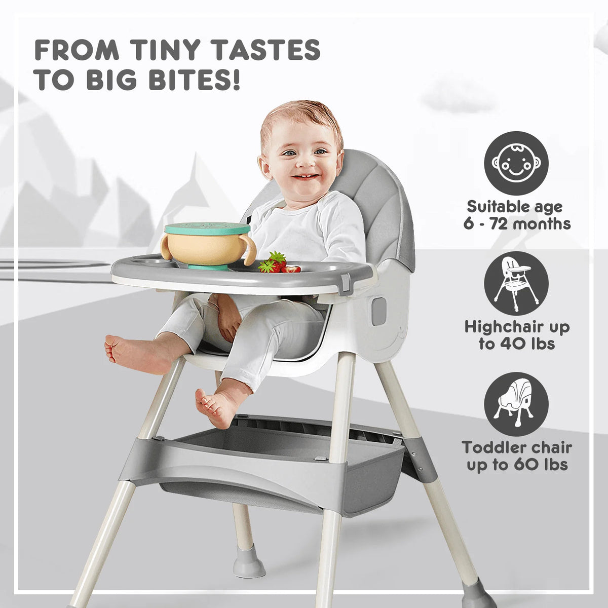 4-in-1 Convertible High Chair F393