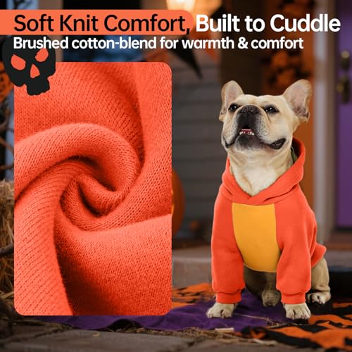 Dog Dinosaur Costume with Hood Y712100