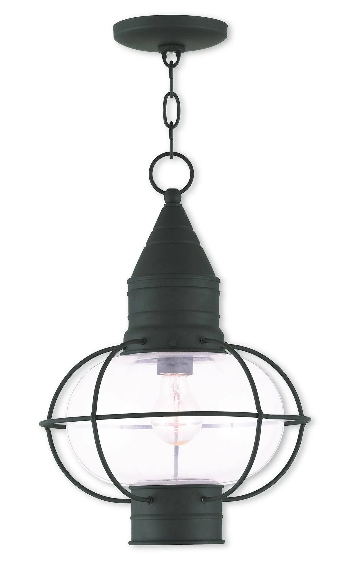1 Light Black Outdoor Chain Lantern W3904