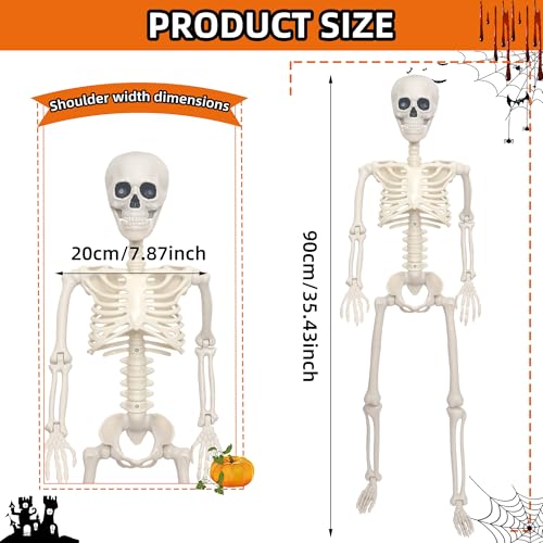 3Ft Life Size Plastic Human Skeleton with Movable Joint R5000