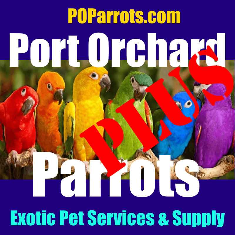 Almond Leaf Extract Pet Supplies F4854