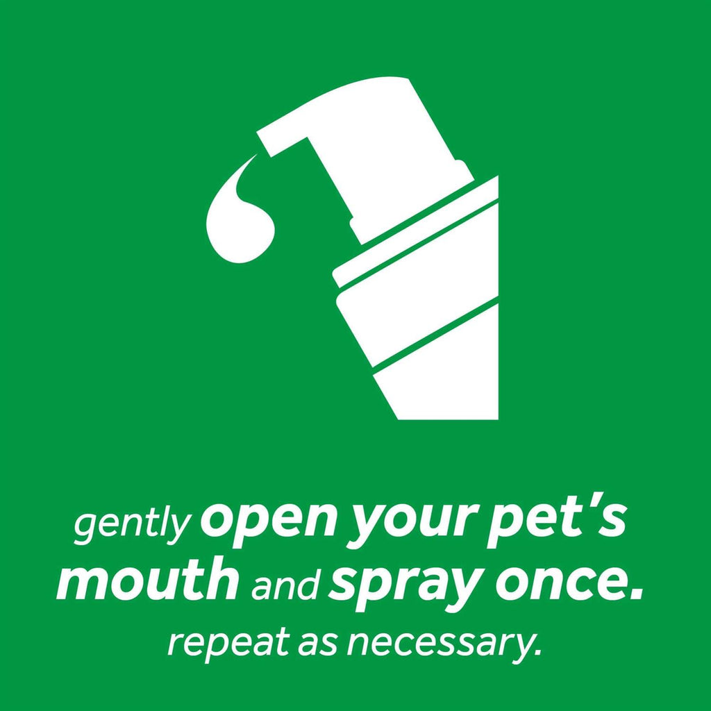 Fresh Breath Mint Foam Z6245