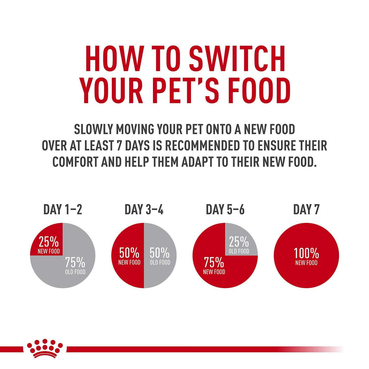 Cat Dry Food P77918
