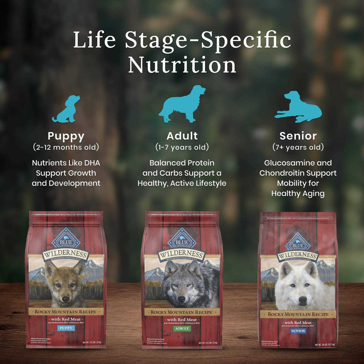 Blue Buffalo Wilderness Rocky Mountain Recipe Dog Food B61643