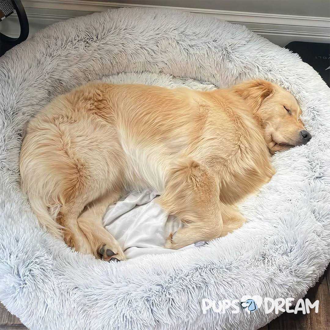 Calming Dog Bed Y4840